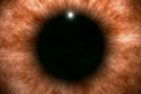 Orange eye background - NTSC Stock-Footage 266889