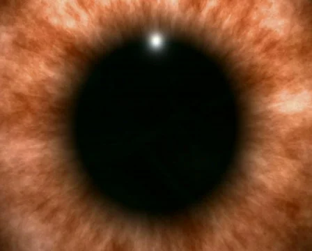 Orange eye background - PAL Stockbeeldmateriaal 266886