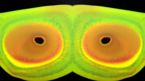 Orange eyes look up Stock Footage 256097425