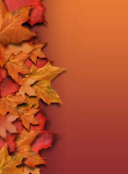 Orange Fall Background Border with Copyspace Stock Photos