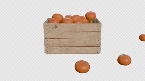 Orange Fall Stock Footage 282168347