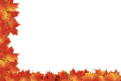 Orange Fall Leaves Border Frame Stock Photos