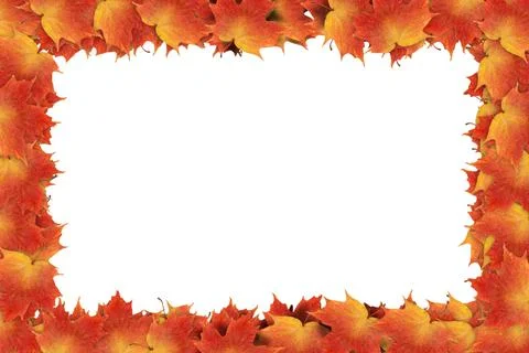Orange Fall Leaves Full Border Frame Stock Photos