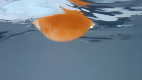 An orange falling in water, underwater view Stock Footage 109561204