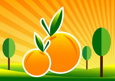 Orange farm Illustrazione stock