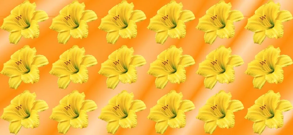 Orange festive pattern with yellow lily flowers 스톡 일러스트