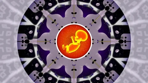 Orange fetus body inside patterns laboratory equipment in space. 库存影片 111200352