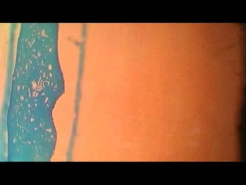 Orange fibre 库存影片 8994728