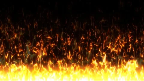 Orange fire flames on black background. Burning fire flame. Stock Footage 276976190