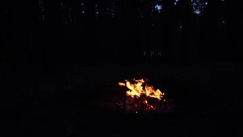 Orange fire flames burning on campfire on black background in slow motion shot Stock Footage 102388930