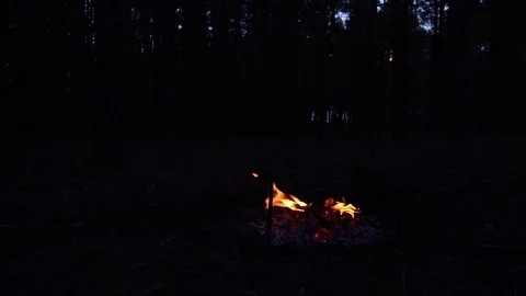 Orange fire flames burning slowly on wild forest bonfire on dark night deep in Stock Footage 102389598