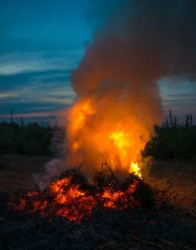 Orange fire flames Stock Photos
