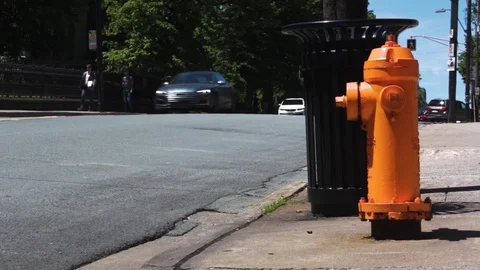 Orange Fire Hydrant, Halifax, Nova Scotia, Canada Video stock 91752013