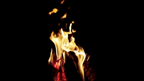 Orange fire in nature on a black background. Overnight in nature with a campfire Video stock 300339350