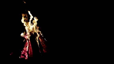 Orange fire in nature on a black background. Overnight in nature with a campfire Stock-Footage 300867572