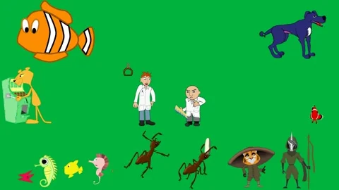 Orange fish black white stripes green screen background dog illustration. Stock Footage 310563063