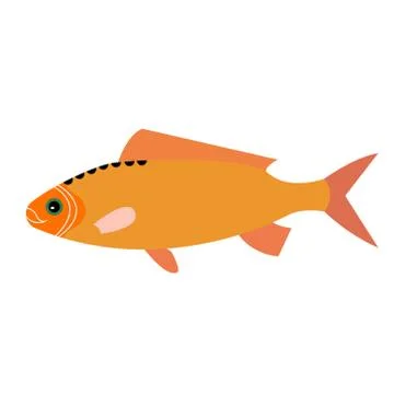 Orange fish flat illustration Stock Illustration