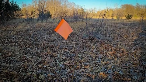An orange flag marker waves in the wind of a serene field with dry leaves. A Stock Footage 334895335