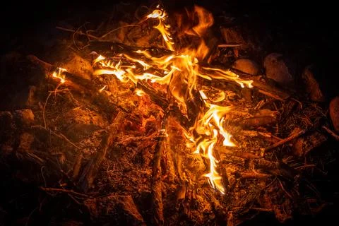 Orange flame in the dark. Forest fire at night. Stock Photos