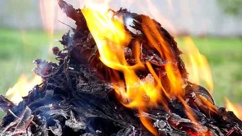 Orange flame on a green background Stock Footage 82353037