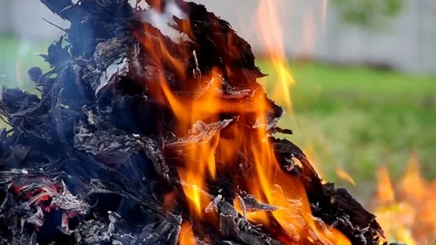 Orange flame on a green background Stock Footage 82499490