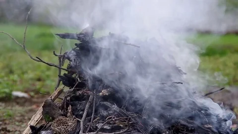 Orange flame on a green background Stock Footage 82499701