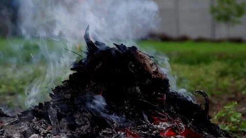 Orange flame on a green background - rake in a fire Stock Footage 82499706