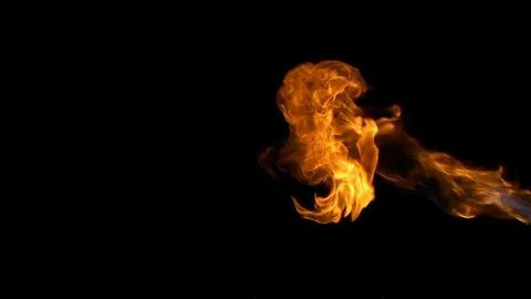 Orange flames on a black background Stock Footage 101012346