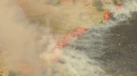 Orange flames from brushfire Stock Footage 21539541