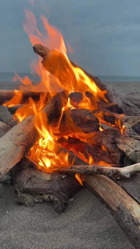 Orange flames burning on a fire on a beach Stock Footage 319551854