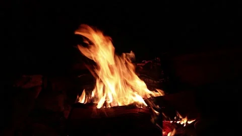 Orange flames of a campfire close-up. Stock Footage 195332866