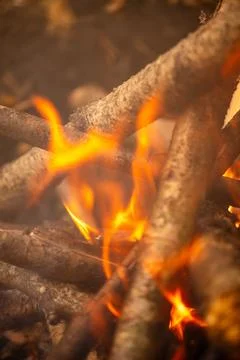 Orange flames, campfire Stock Photos
