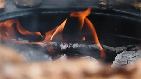 Orange Flames Rising from Burning Logs and White Ash in a Fire Pit Stock Footage 343976378