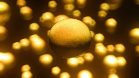 Orange Floating Against a Vibrant Bokeh Background Stock Footage 72299648