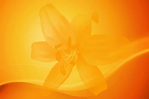 Orange Flower Background Stock Illustration
