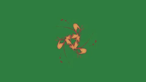 An orange flower fire on it yellow bird ant red logo fish isolated isolated on Stock Footage 336847661