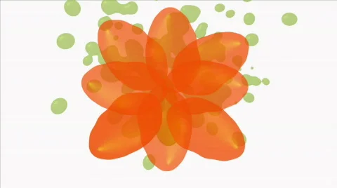 Orange Flower Stock Footage 720858