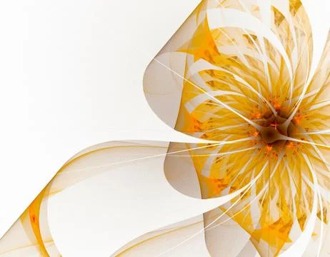 Orange flower Stock Illustration