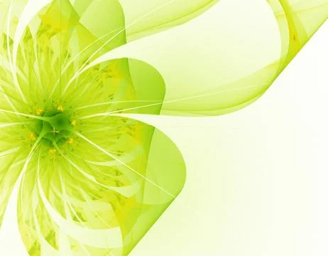 Orange flower Stock Illustration