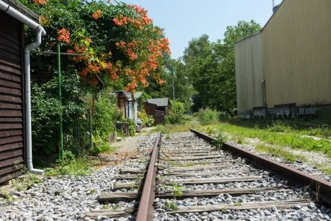 Orange flower next to old train track Stock Photos