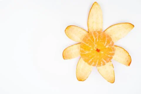 Orange flower Stock Photos