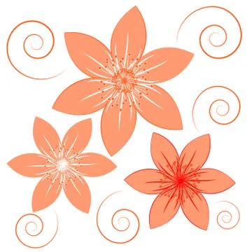 Orange flowers on white background Stock Illustration