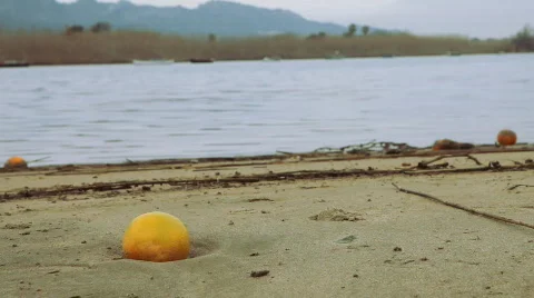 Orange 库存影片 661468