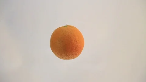 Orange 스톡 동영상 116254477