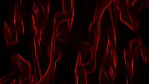 Orange 库存影片 125700392