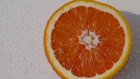 Orange Stock Footage 159562638