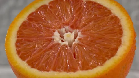 Orange Stock Footage 159563204