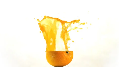 Orange Stock Footage 168922099