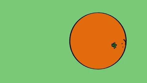 Orange Stock Footage 171773261