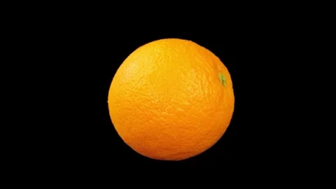 Orange Stock Footage 219530959